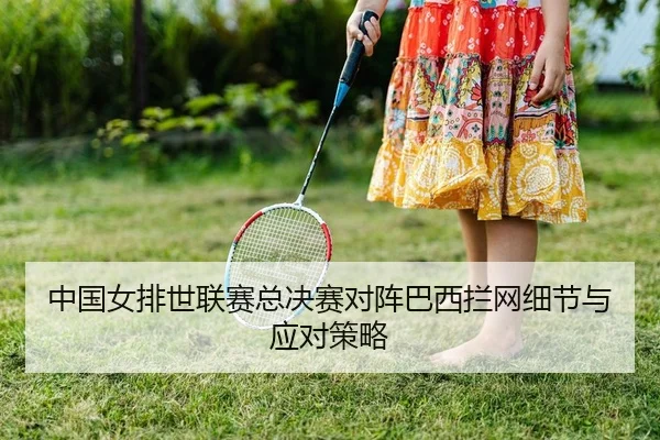 中国女排世联赛总决赛对阵巴西拦网细节与应对策略